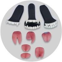 取り外し型の歯と舌（吸血鬼型）